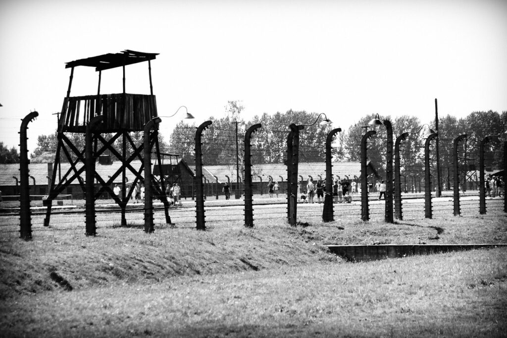 concentration camp, auschwitz, birkenau